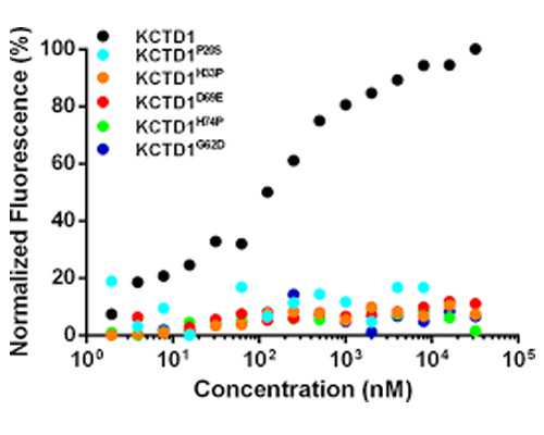 怎么邮递去香港验血,新型冠状病毒肺炎疫情来势迅猛，试管婴儿治疗怎么办？