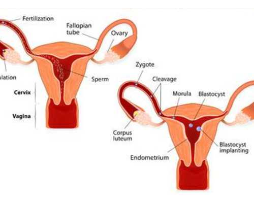 邮寄香港验血都是寄到深圳的吗,谈笑爱心基金助孕公益行走进随州 80余不孕不