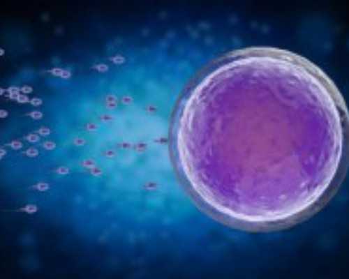 古玩高清完整版在线观看,腰椎打针疗法