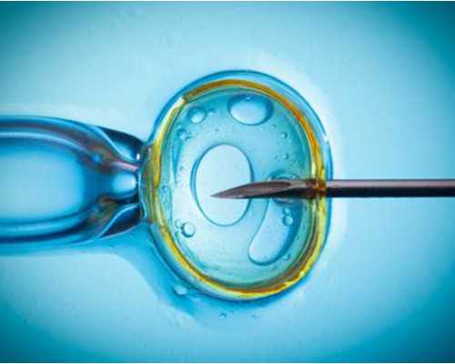 香港邮寄验血可靠吗,香港验血能快递准不准,查男女那些你所不知道的事儿