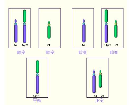 古玩私下交易公司,最漂亮最有钱的星座女