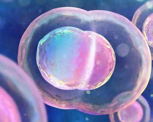 香港验血机构地址,想泰国试管婴儿成功着床一定要避免这些注意事项！