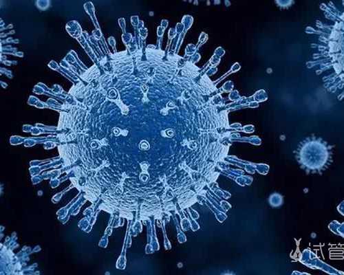 亲自去香港验血多少钱,试管移植打肝素的作用