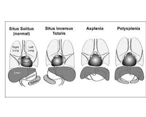 中介香港验血会出错吗,旅游去香港查婴儿性别_抽血验男女有多少翻盘的!