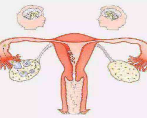 深圳中介香港验血测,对于女性来讲人工受孕好还是试管好?