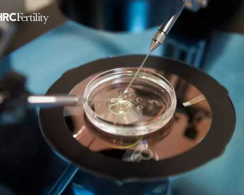 有邮寄香港验血的吗_香港验血有没有可能标本错了_没y生了男孩真的很准吗