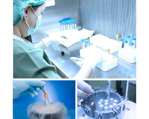 香港验血怀孕几周怎么算,多次宫外孕试管婴儿成功率高吗？