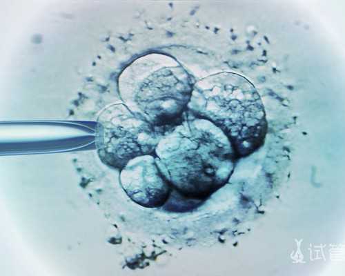 香港验血价格差别大,宫腔积液如何影响辅助生殖技术中助孕过程？