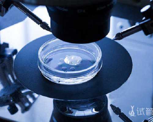 香港中介验血怎么运输,香港验血查男女原理是什么?你想知道的流程都在这!