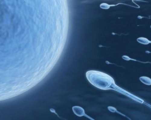 山西古玩市场集市大全,肯德基速成鸡KFC存在的健康隐患