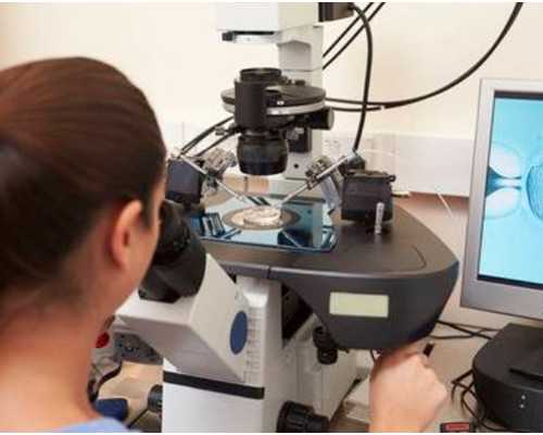 北京正规的古玩鉴定中心,麻辣海带丝的做法