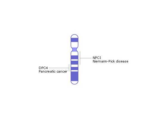 广州现金收购古玩古董,天生记忆力惊人的星座