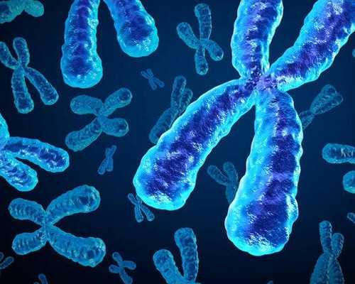 香港验血查男女准不准,月经期间吃避孕药有哪些危害