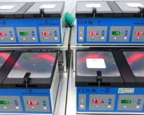 香港预约验血多少费用,香港9周验血可以吗_验血查性别哪家最准!