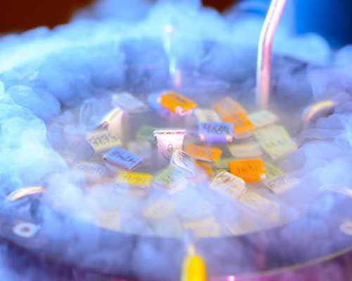 北京大柳树古玩市场地址_健身新方式!像婴儿一样爬行能增强肌肉力量