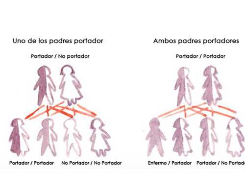 香港哪里可以验血测男女_香港验血报告单怎么看？香港验血四大权威机构的英