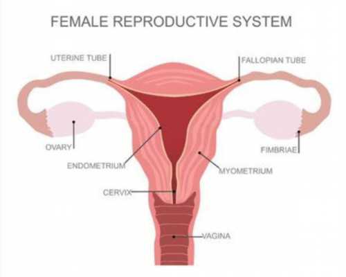 怎么直接去香港验血多少钱,香港验血测DNA权威机构_你想知道的都在这!