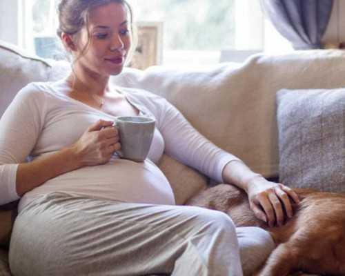 香港本地验血费用,西安辅助生殖助孕机构排名前三的是哪些?