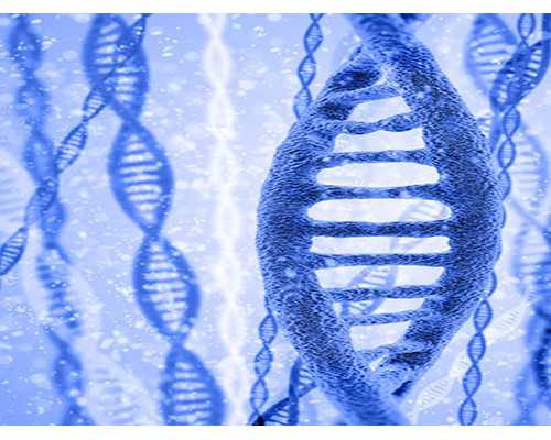 吃药会影响香港验血吗_验血是女孩_能翻盘么,第三胎香港验血女儿