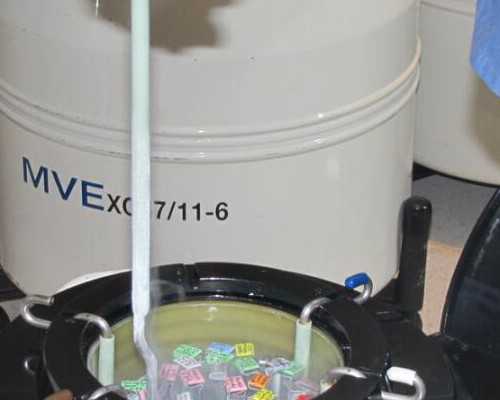 香港验血怀孕几个月,助孕宝宝感冒鼻塞的解决方法