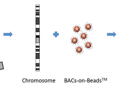 沉浮古玩虫为什么看不了,跪膝单臂拉伸