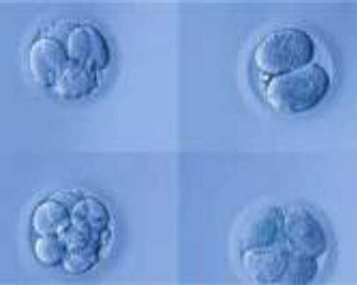 香港验血4天收到准不准,月经期间过后几天是排卵期