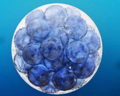 南京古玩鉴定机构电话,韩国性感女演员,合作池城、黄政民,金雅中的6部代表