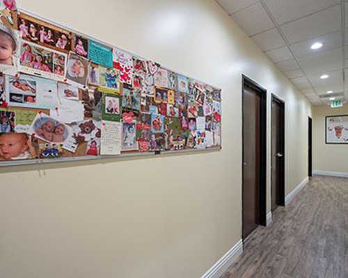 香港基因验血测男女准不准,2023年兔宝宝备孕时间表 2023年兔宝宝几月出生好