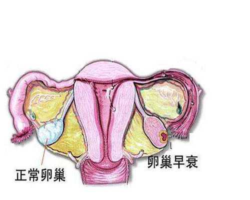 李成儒演的古玩电视剧叫什么名字,蒜香排骨煲