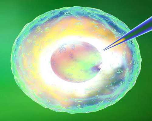 徐州借卵做三代试管医院_已服务上千不孕家庭 双胎能做性别鉴定吗
,香港怎么