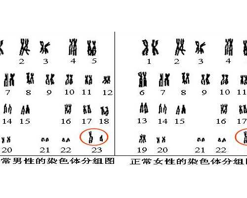 古玩瓷器字画玉器拍卖鉴定,郑多燕瘦腿瘦臀有用吗