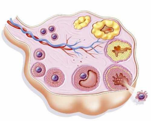 重庆有哪些古玩拍卖公司,十二星座谁才是真正的“干饭人”?