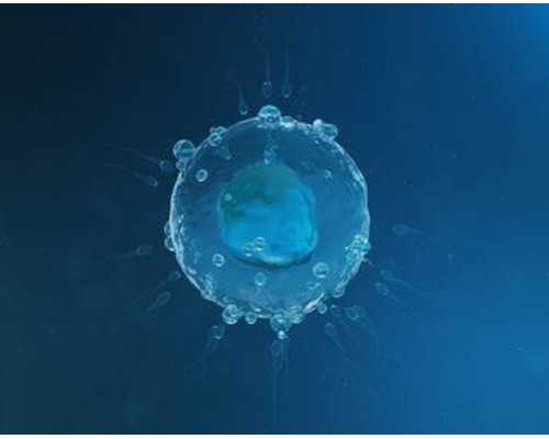 厦门抽血寄香港验血靠谱吗_香港验血找康宁_8周验血B超翻盘信哪个!