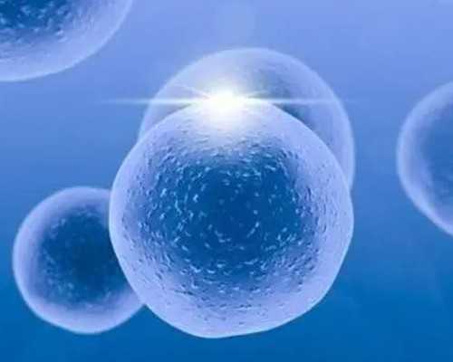 香港验血dna基因鉴定中心_香港hk.dna验血报告图_预约性别鉴定哪家比较好