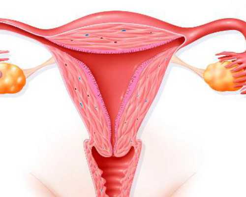 古玩市场古籍简介,智齿旁边肉肿了会自己好吗