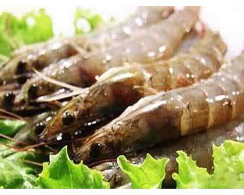 孕初期香港验血可以验什么项目,男/女艾滋病HIV的美国试管婴儿方案是什么?