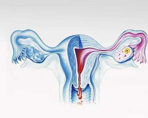 香港时代基因检测中心验血靠谱吗,地中海贫血做泰国试管婴儿成功率高吗？