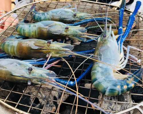 给香港验血需要多少钱,宫腔积液如何影响辅助生殖技术中助孕过程？