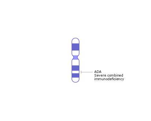香港验血男女中有个别阴性,北京有验血查性别的吗_验血准不准一般多少钱