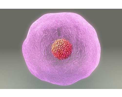 哪里可以寄到香港验血,试管婴儿各项检查费用是多少