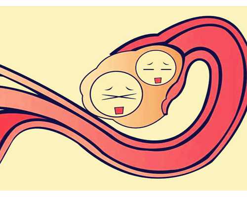 香港验血测性别16组,香港验血多久知道结果？宝妈亲身经历告诉你真相