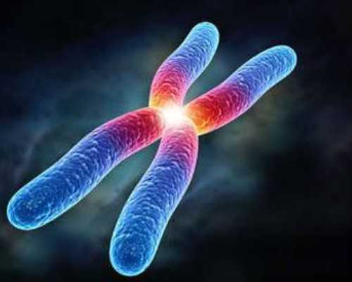 古玩鉴定师资格证培训,考证,乙酉日柱出生男女八字命运