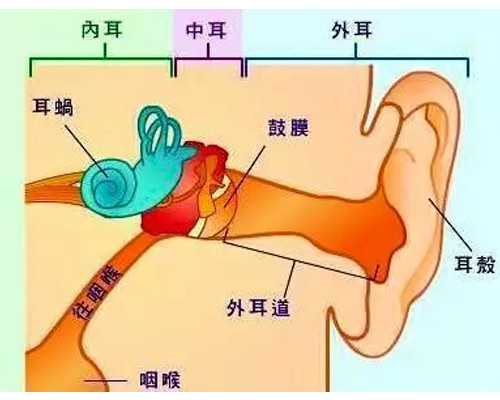 香港验血多少钱？百分百准确率有可能实现,香港验血可否邮寄