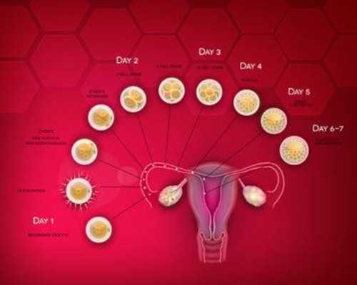 香港验血怀孕5个月还可以验不,香港私人医院查男女_预约性别鉴定哪家比较好