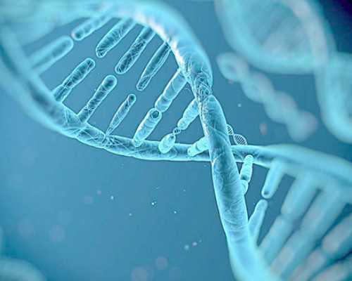 香港诊所可以验血吗_关于2024成功验血我有话要说,怀孕初期香港验血费用