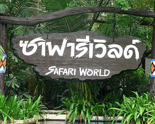 现金高价收购古董古玩,和巨蟹座天作之合的星座配对!惺惺相惜双鱼座