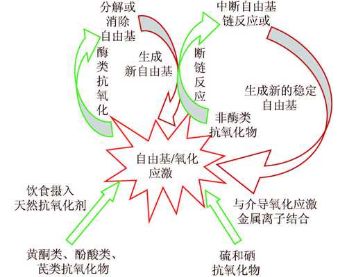 香港验血验出y就百分百是男孩吗_山西邮寄香港验血测男女_怎么选择权威的验血