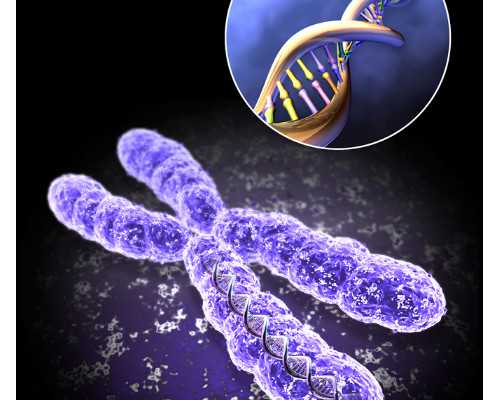 香港诊所验血准确吗,香港验血多少周准确啊？亲身经历告诉你真相