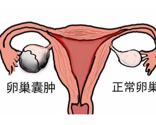 香港验血是到医院还是小诊所,香港内地预约中心_dna胎儿性别会翻盘吗