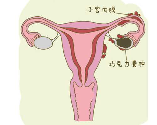 潘家园古玩市场有真货吗,半月板损伤疼痛吃什么药